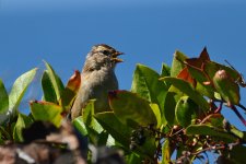 500_0125R_cr.jpg