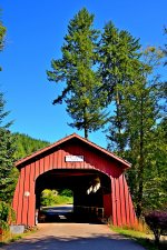 750_0049R_LCo_sm.JPG