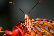 _DAB5274-topaz-sharpen.jpg