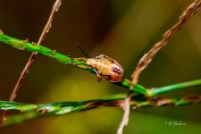 _DAB5304-topaz-sharpen.jpg