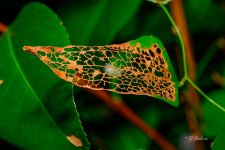 _DAB5402-topaz-sharpen.jpg