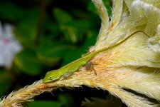 _DAB5404-topaz-sharpen.jpg