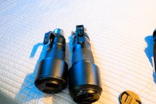 180-600 Z lens vs 200-500 G-1784.jpg