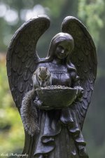 RD5_2714-Praying Squirrel.jpg