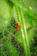 _DAB5612-topaz-sharpen-2.jpg