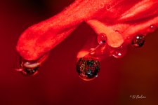 _DAB5648-topaz-sharpen-2.jpg