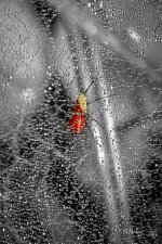 _DAB5612-topaz-sharpen-3.jpg
