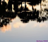 DSC_9265_stitch6_001.JPG