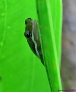 DSC_9295_001.JPG