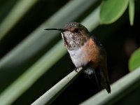 Hummer2_2023_10_08.jpg