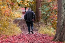 leaves-13.jpg