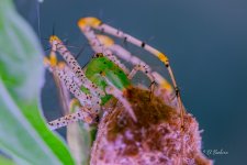 _DAB5677-topaz-sharpen.jpg