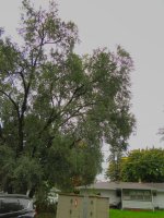 DSCN0005A.jpg