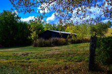 2-231013 Country Life-2068.jpg