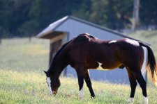 2-231013 Country Life-2071.jpg