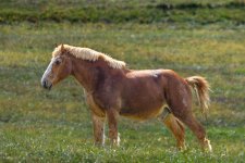 untitled-2206.jpg