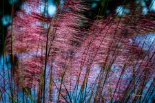 _DAB5871-topaz-sharpen-2.jpg