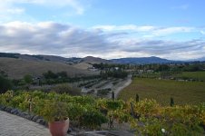 Napa Valley.JPG