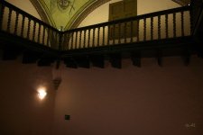 Z50_8050_20231018 1.jpg