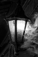 Dark-79.jpg