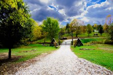 20231020 Country Roads-2262.jpg