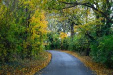 20231020 Country Roads-2277.jpg
