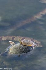 RD5_6188-Edit.jpg