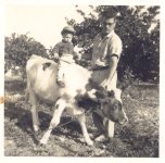 Cow's That.jpg