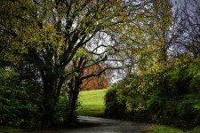 untitled-2801-2.jpg
