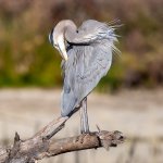 OneLegSet-3.jpg