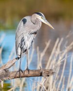 OneLegSet-4.jpg