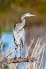 OneLegSet-5.jpg
