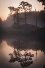 Fog3.jpg