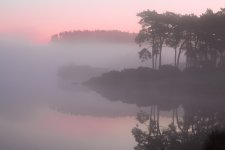 Fog1.jpg