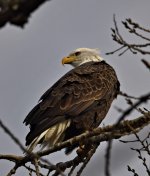 DSC_1853.jpg