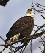 DSC_1824.jpg