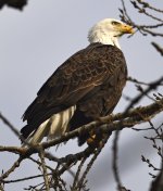 DSC_1794.jpg