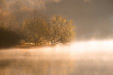 Fog14jpeg.jpg