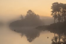 Fog4.jpg