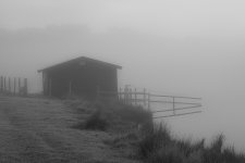 fog24.jpg