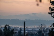 DSC_0157.JPG