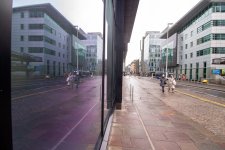 Purple Reflections jpeg.jpg