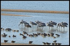 23-11-21_D503957 175247 NIKON D500 CR ON1.jpg