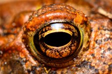 _DAB5990-topaz-sharpen.jpg