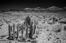 Not Forgotten - resized 2.jpg