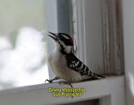 00 Cover small.jpg