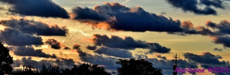 DSC_2052_stitch8_001.JPG