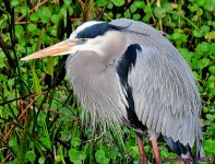 DSC_2088_001.JPG