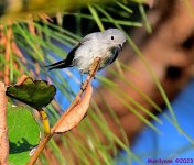 DSC_2095_001.JPG
