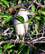 DSC_2165_001.JPG